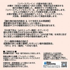 画像4: 【飼育用品・器具】【イオン吸着ろ過材】リバース グレイン Second 1袋(2入)【イオン吸着ろ過材】（淡水　水草用） (4)