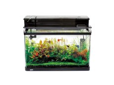 画像1: 【飼育用品・器具】【通販】【水槽】GEX　ラピレスRV60GT　LEDセット(淡水 海水用) (1)