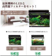 画像2: 【飼育用品・器具】【通販】【水槽】GEX　ラピレスRV60GT　LEDセット(淡水 海水用) (2)
