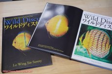 画像1: 【飼育用品・器具】【書籍】Wild Discus（ワイルドディスカス）  著者　LO WING YAT SUNNY （ワイルドディスカス洋書） (1)