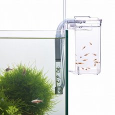 画像6: 【飼育用品・器具】【通販】【隔離箱】サテライトスリムＭ隔離箱産卵箱(淡水 海水用) (6)