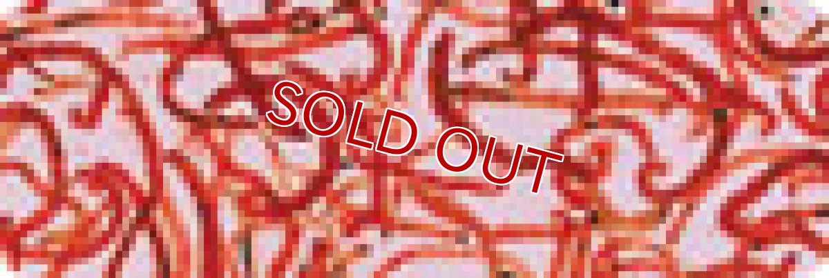 画像2: 【飼育用品・餌】 エコクリンアカムシ 100g /18枚【冷凍餌】 (淡水用)(餌) (2)