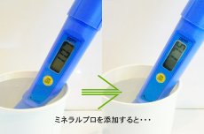 画像3: 【飼育用品・添加剤】 ミネラルプロ(250g)(淡水用)(添加剤) (3)