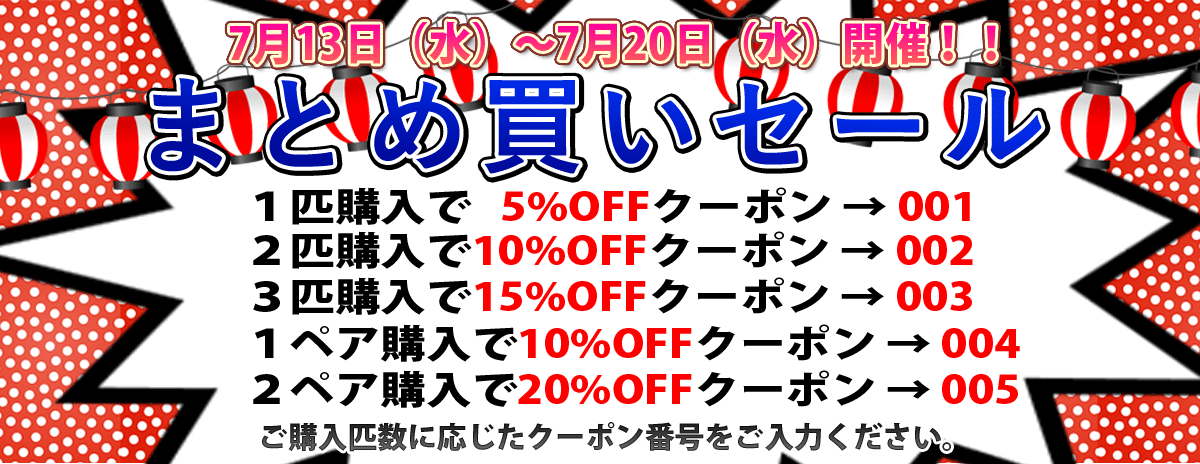 飼育用品 器具 フィルター 外部フィルター エーハイム プロフェッショナル4 2271 淡水 海水可 メーカー保証付き ペットバルーンex ワイルドディスカスネット通販専門店