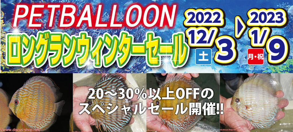 飼育用品 器具 照明器具 Ledライト コトブキ フラットled Wp600 淡水海水用 メーカー保証付き ペットバルーンex ワイルドディスカスネット通販専門店