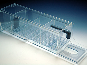 飼育用品 器具 飼育用品 器具 フィルター 上部フィルター Easy Top フィルター Model600 送料梱包料込み 淡水用 ディスカスグッズ ディスカスグッズ ペットバルーンex ワイルドディスカスネット通販専門店